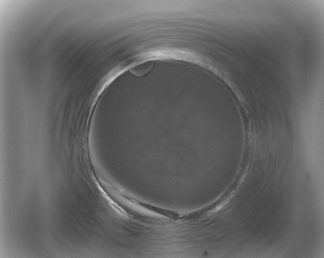 X0000062151529200512161221