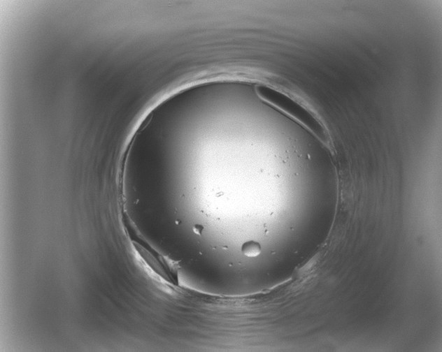 X0000062151532200512161221