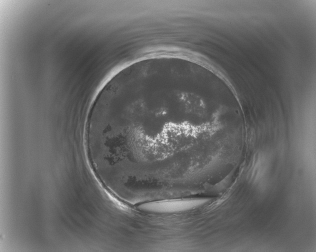 X0000062151533200512161221