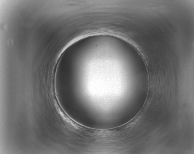 X0000062151534200512161221