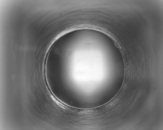 X0000062151535200512161221