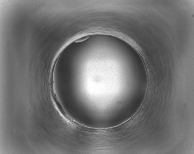 X0000062151536200512161221