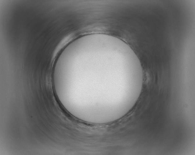 X0000062150004200512231545