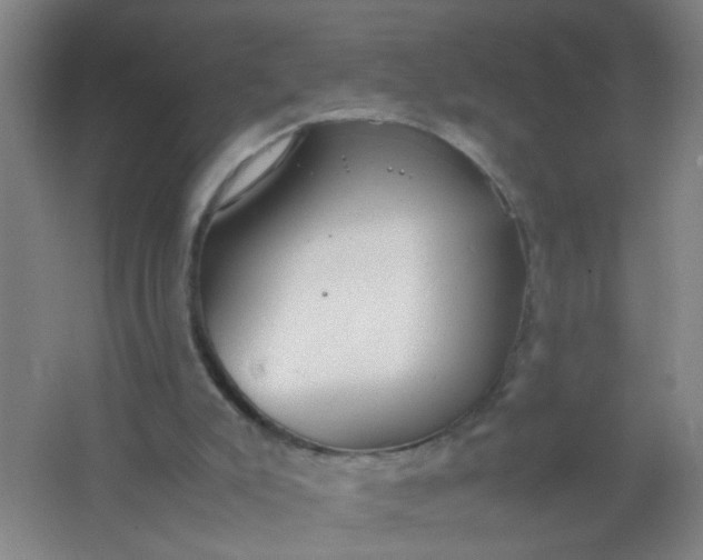 X0000062150007200512231545