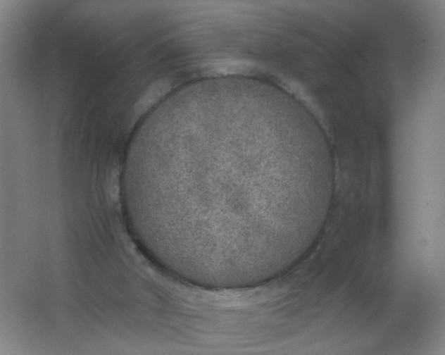 X0000062150010200512231544