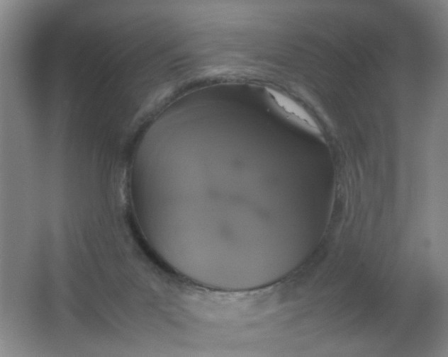 X0000062150023200512231544
