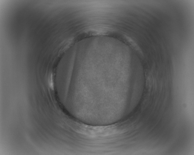 X0000062150026200512231544