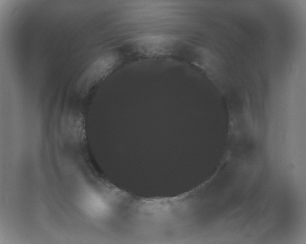 X0000062150029200512231544
