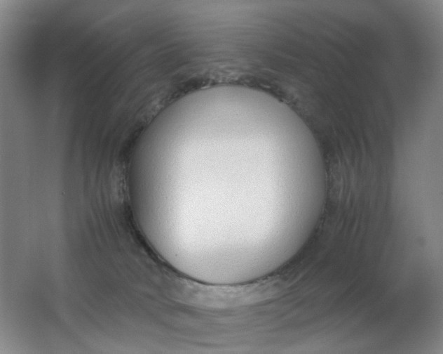X0000062150034200512231544
