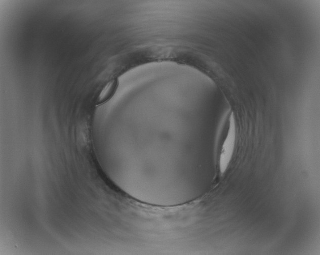 X0000062150035200512231544