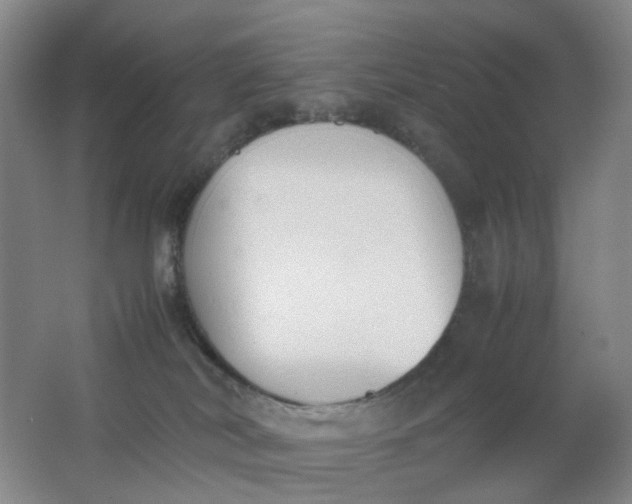 X0000062150038200512231544