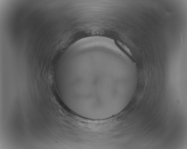 X0000062150039200512231544