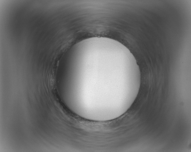 X0000062150040200512231544