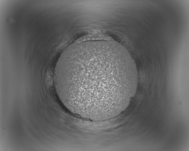 X0000062150043200512231544