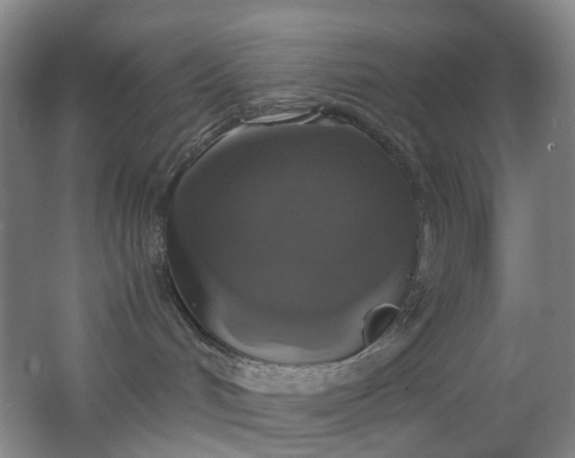 X0000062150048200512231544
