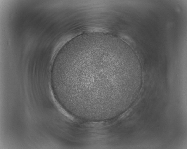 X0000062150049200512231543