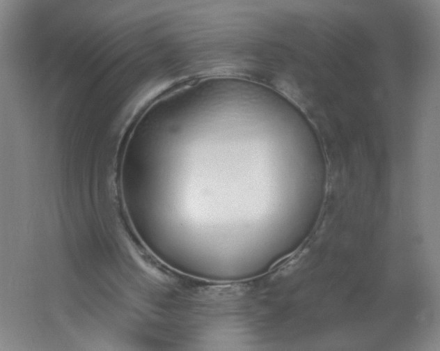 X0000062150050200512231543