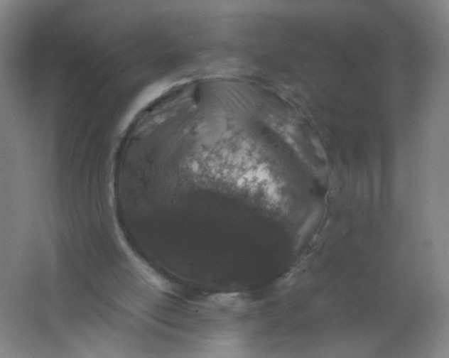 X0000062150054200512231543