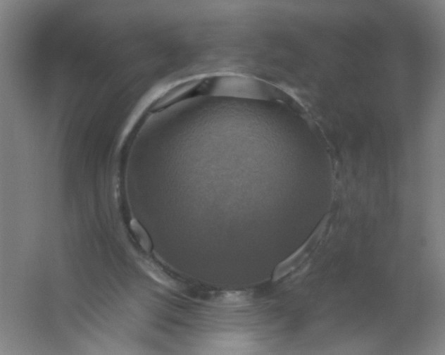 X0000062150056200512231543