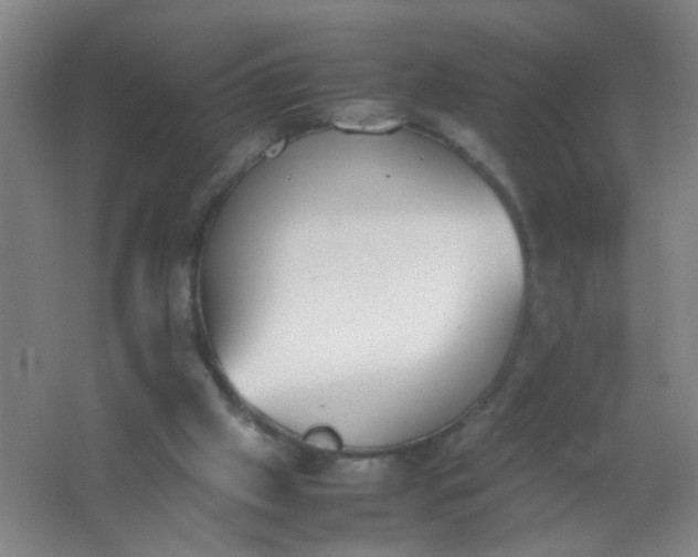 X0000062150057200512231543