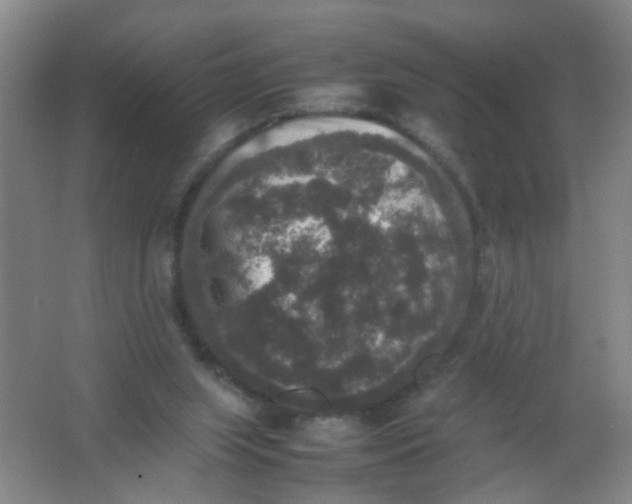X0000062150063200512231543