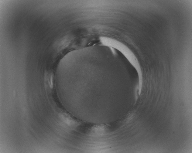 X0000062150076200512231543
