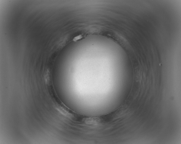 X0000062150077200512231543