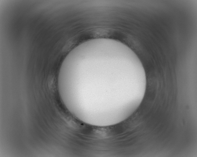 X0000062150079200512231544