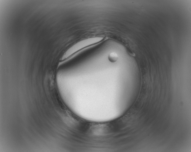 X0000062150081200512231544