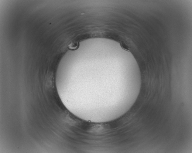 X0000062150083200512231544