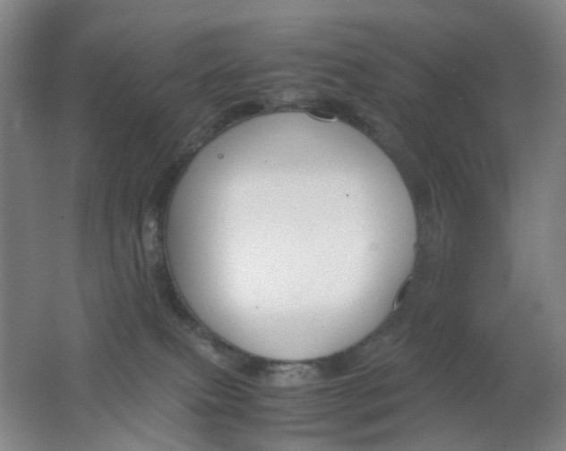 X0000062150087200512231544