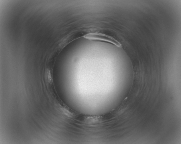 X0000062150089200512231544