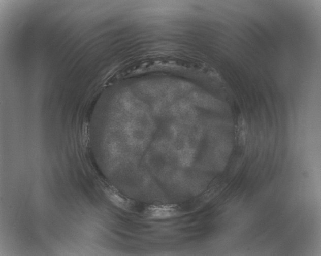 X0000062150093200512231544
