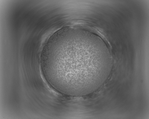 X0000062150097200512231543