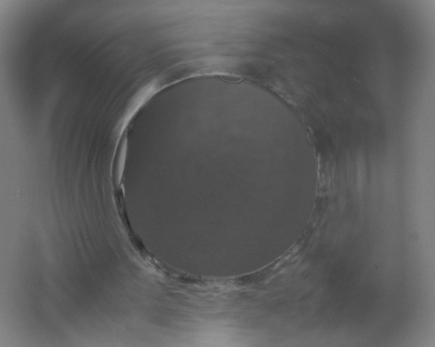 X0000062150099200512231543