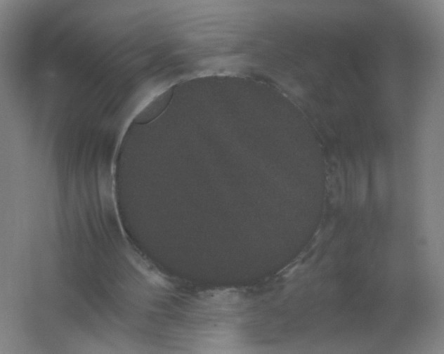 X0000062150100200512231543