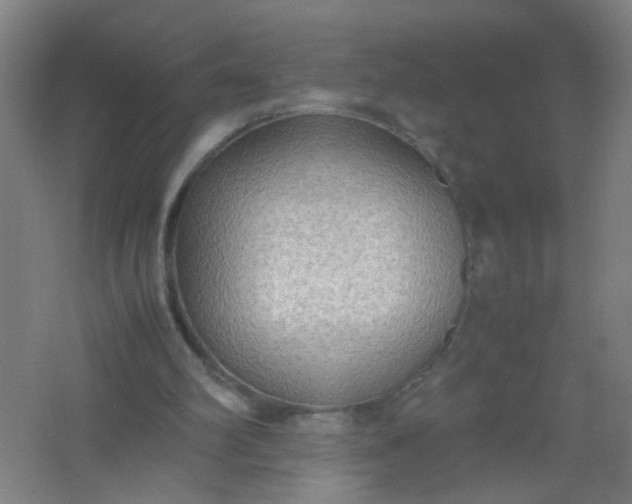 X0000062150102200512231543