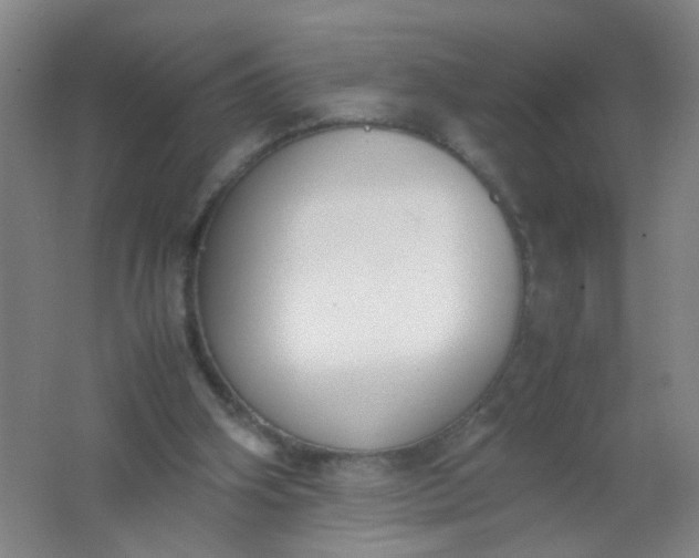 X0000062150106200512231543