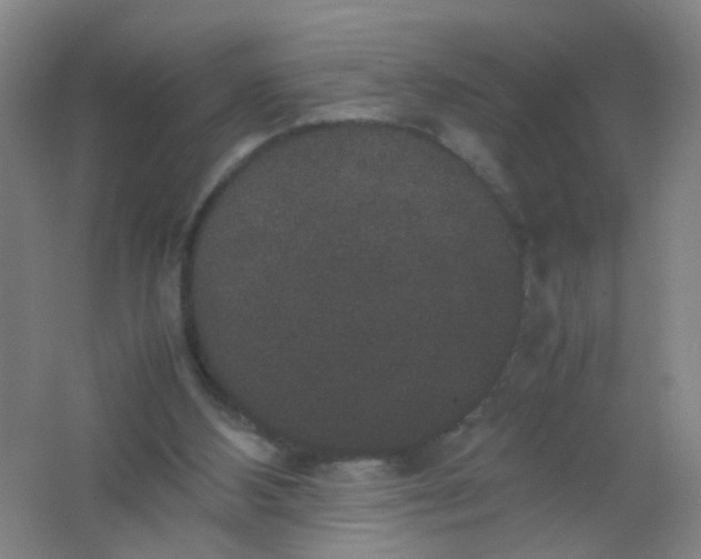 X0000062150108200512231543