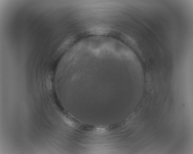 X0000062150114200512231543
