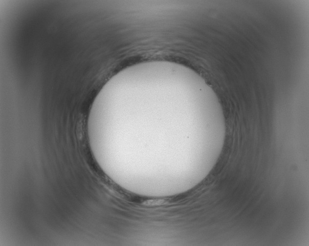 X0000062150133200512231542
