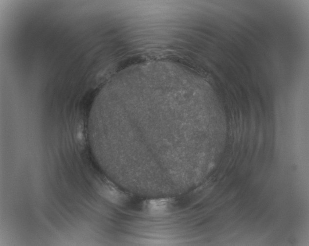 X0000062150134200512231542