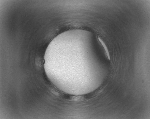 X0000062150135200512231542