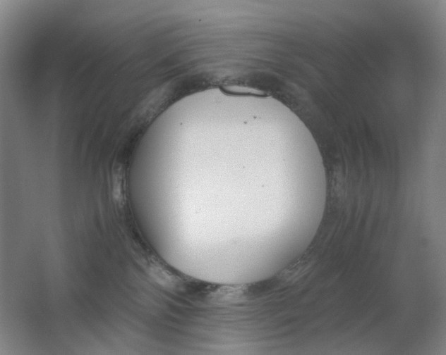 X0000062150138200512231542