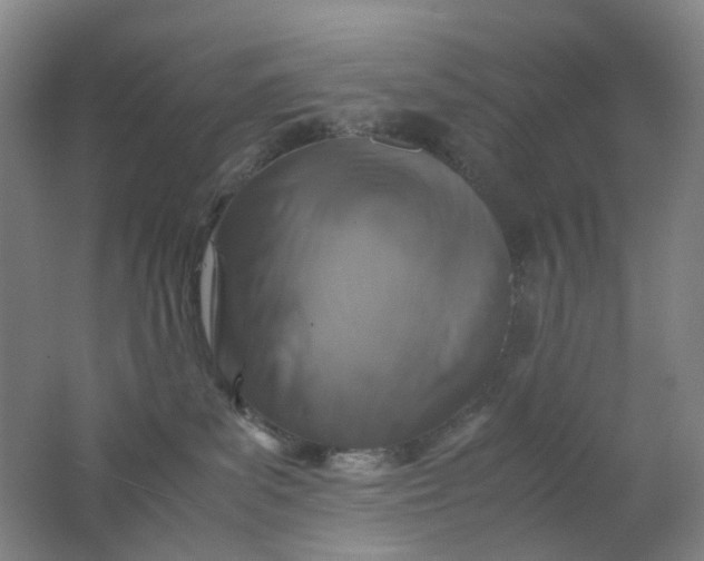 X0000062150139200512231542