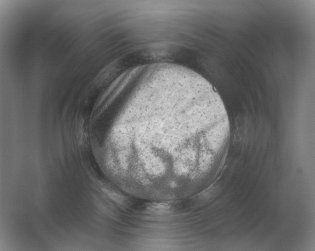 X0000062150140200512231542