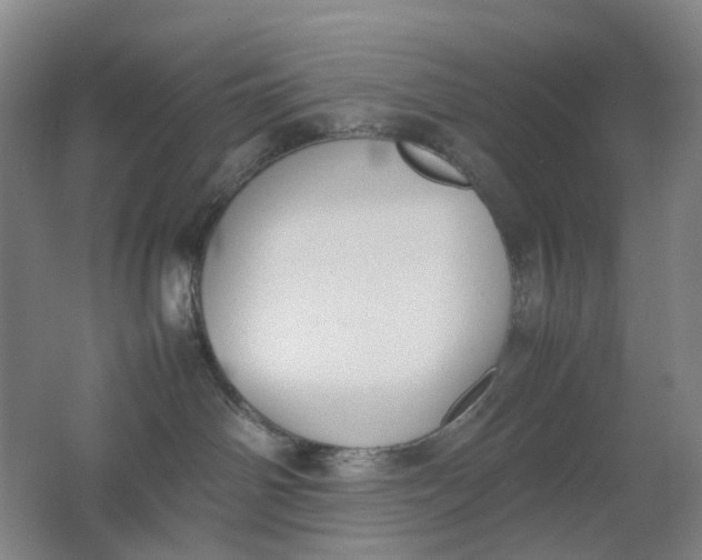 X0000062150142200512231542