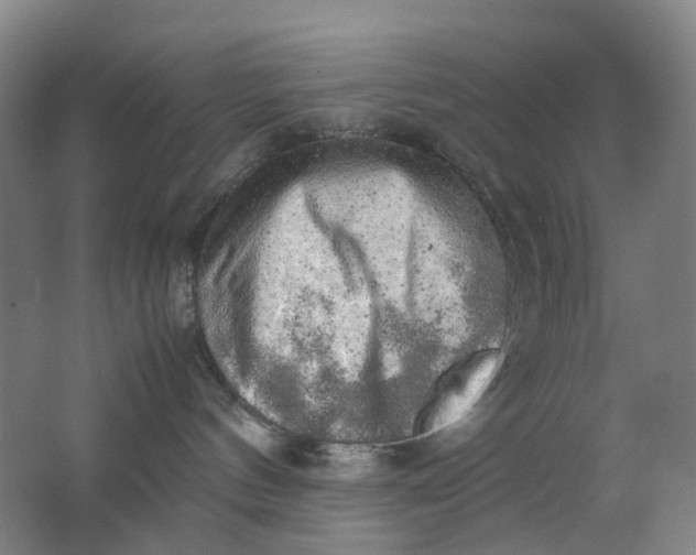 X0000062150144200512231542