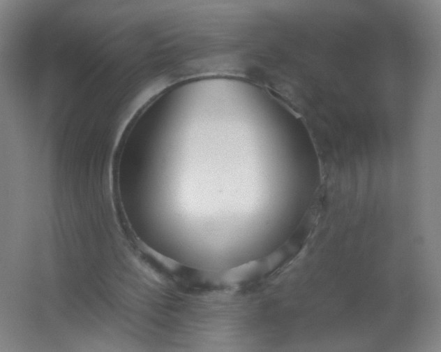 X0000062150148200512231541