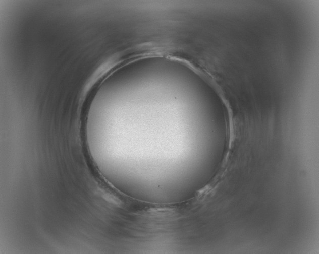 X0000062150150200512231541